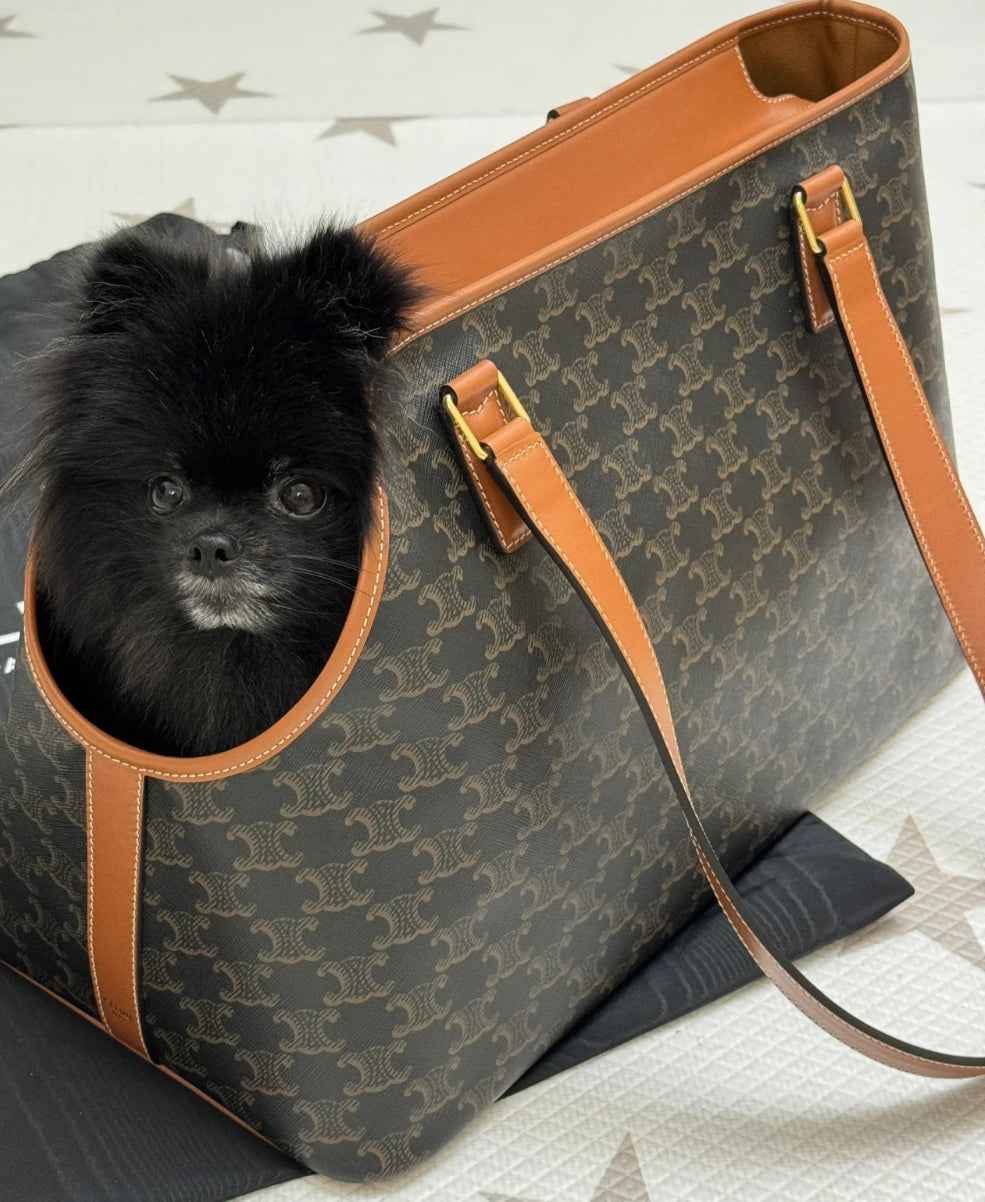 Luxe Logo Brown Pet Carrier With Gold Detail