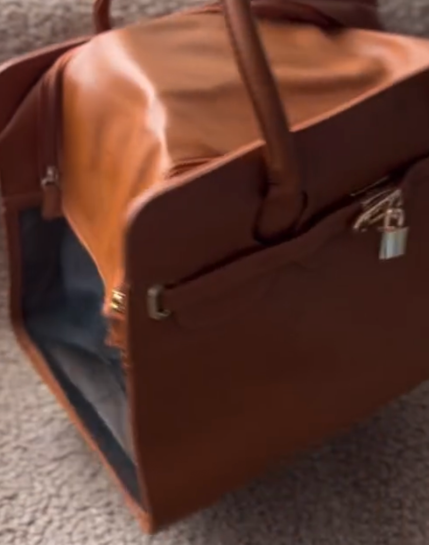 Luxury Padlock Pet Carrier Handbag - Tan