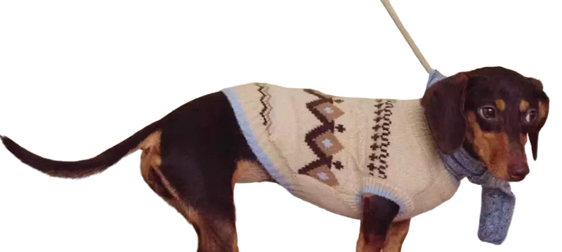 Fair Isle Dog Printed Jumper - Light Blue Edge Oatmeal
