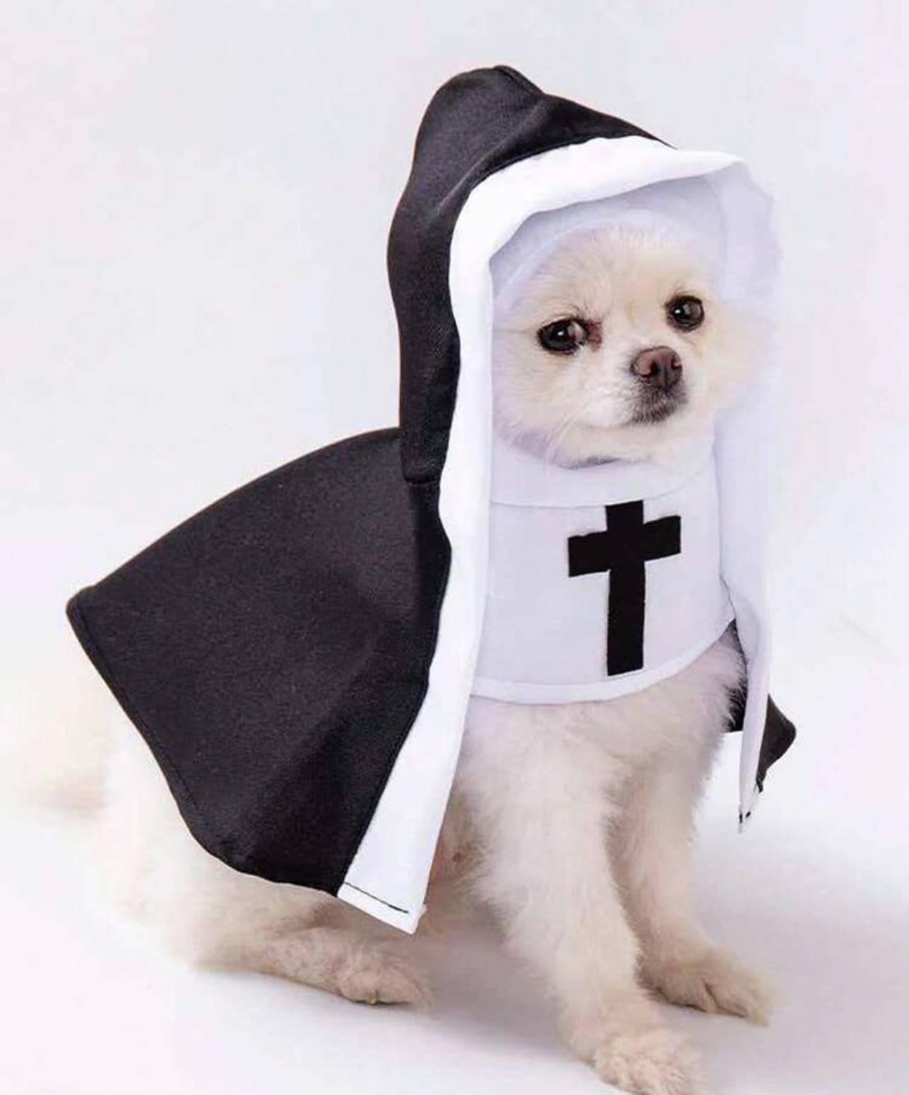 Dog Halloween Nun Costume