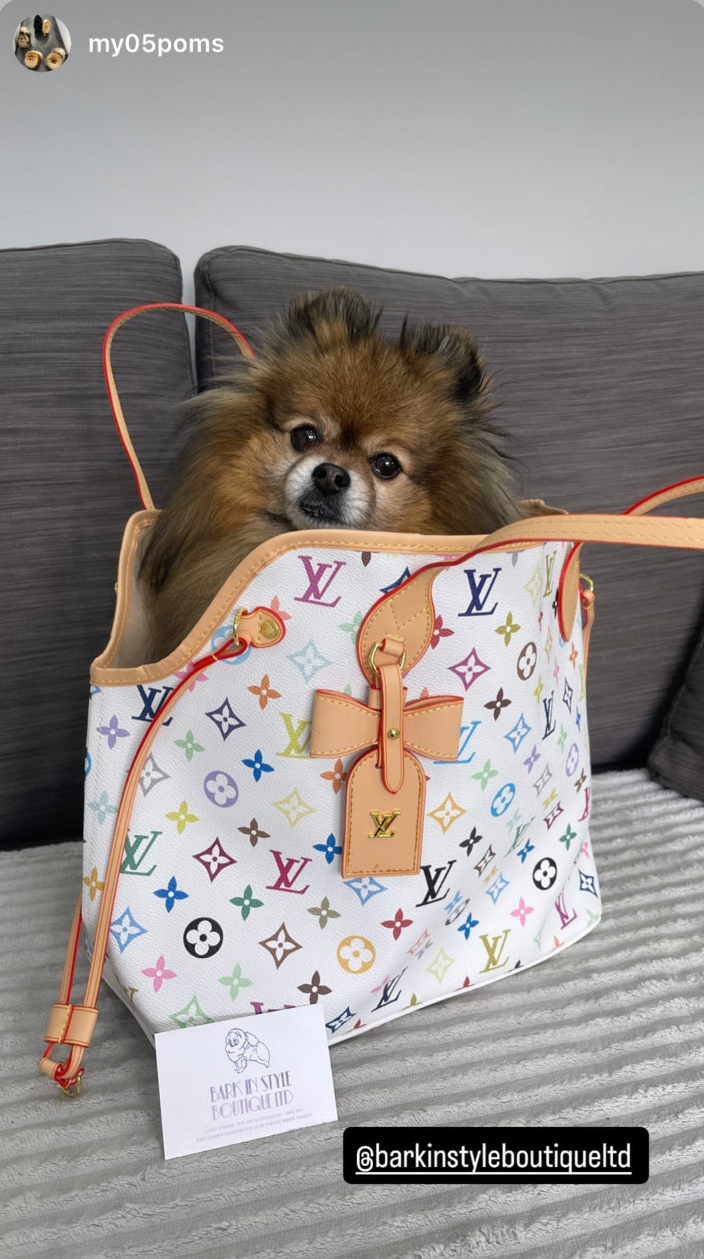 NeverWoof Luxury Bow Pet Carrier Tote Bag - Multicolour White