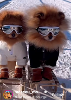 Ribbed Four-Legged Dog All in One - White/Black/Grey