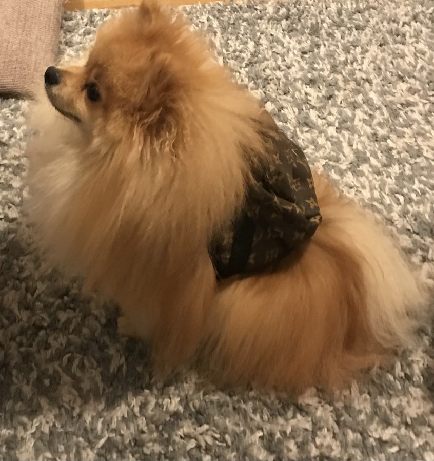 Backpack Dog Harness - Brown