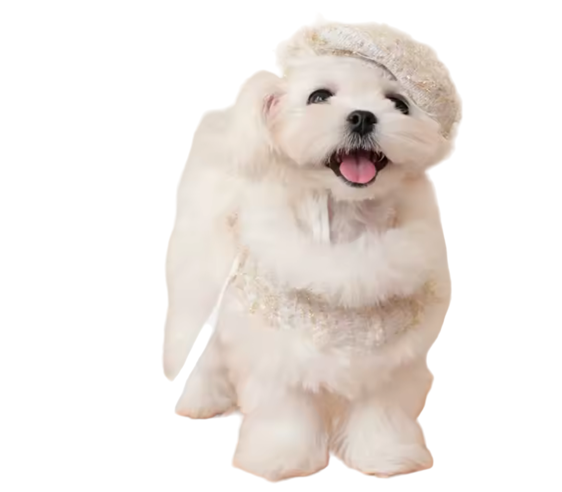 Tweed Style Faux Fur Trim Cloak Coat, Lead and Set - Metallic Gold/White