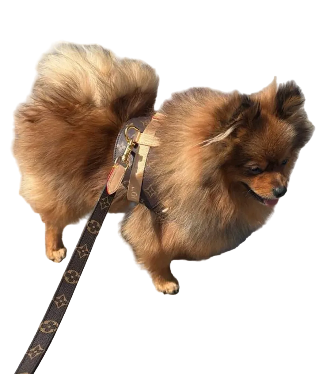 Woof Luxury Dog Harness - Multicolour White