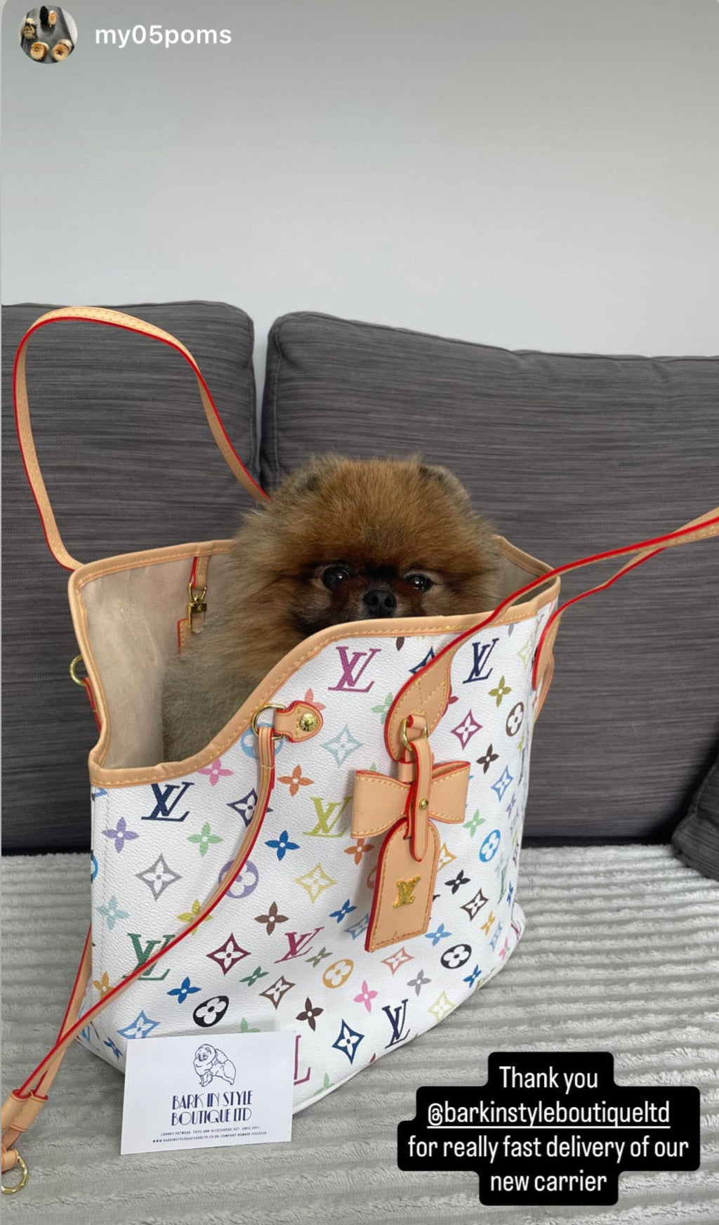 NeverWoof Luxury Bow Pet Carrier Tote Bag - Multicolour White