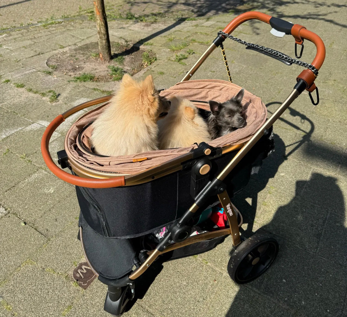 3 in 1 Dog Pram - Gold Champagne