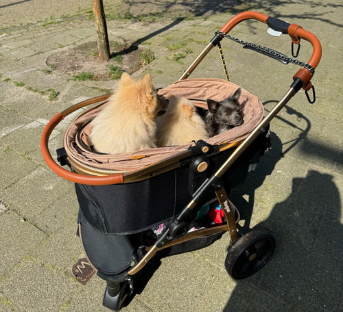 3 in 1 Dog Pram - Gold Champagne