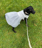 Faux Pearl Dog Leash