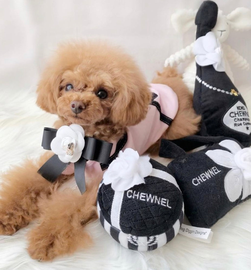 Koko Chewnel Champagne