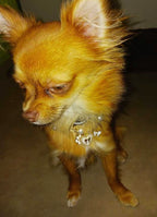 Pearls Paws & Bows Dog Necklace