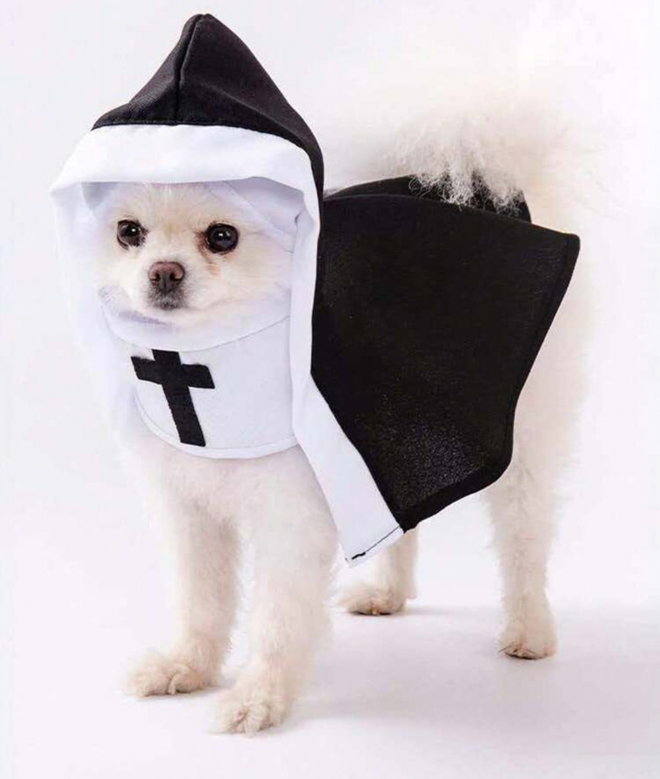 Dog Halloween Nun Costume