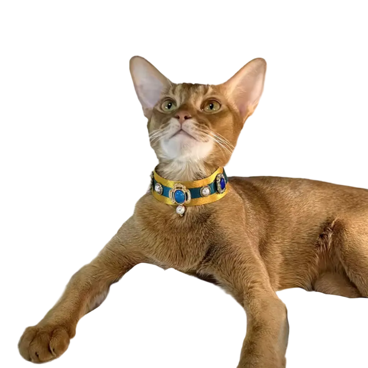 Egyptian Pet Collar