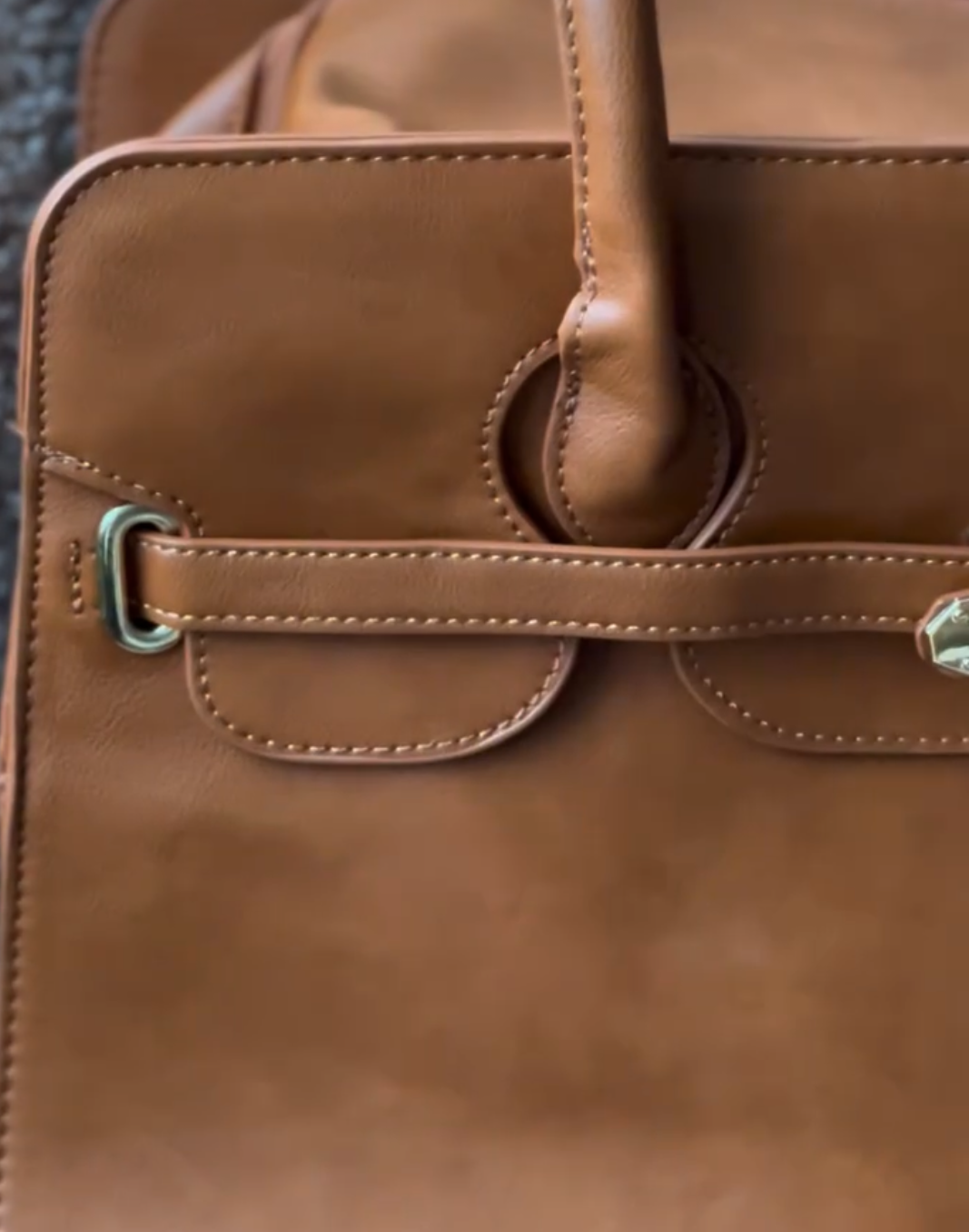 Luxury Padlock Pet Carrier Handbag - Tan