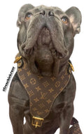 Luxury Large Breed Dog Harness - Brown