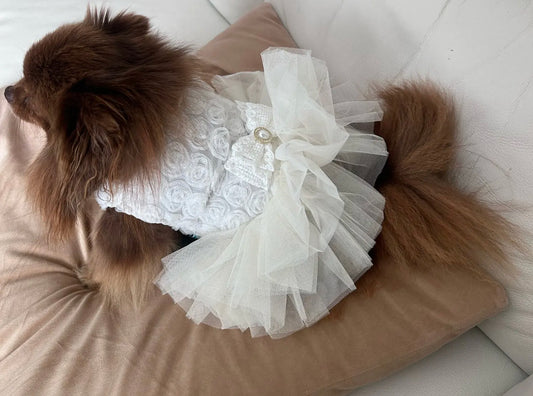 Rose Lace Pearl Detail D Ring Occasion Dog Dress - White
