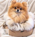 Dog Cupido Luxury Faux Fur Trim Carrier - Beige