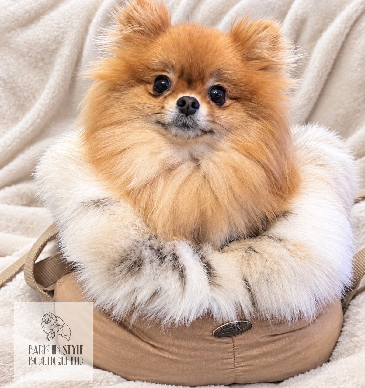 Dog Cupido Luxury Faux Fur Trim Carrier - Beige