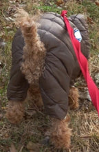Four-legged Padded Dog Coat - Brown