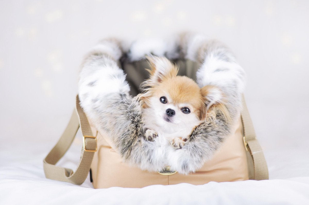 Dog Cupido Luxury Faux Fur Trim Carrier - Beige