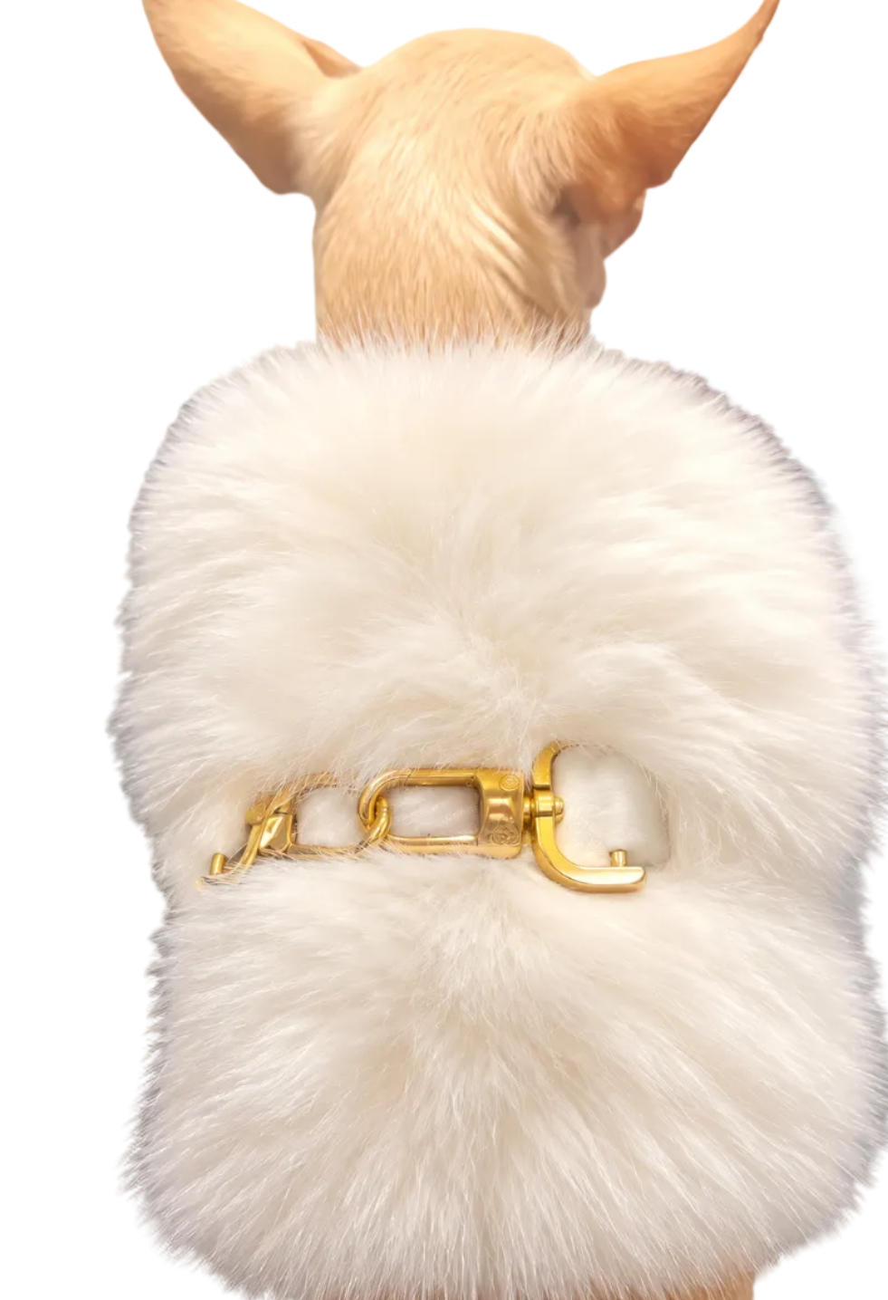 Faux Fur Dog Harness with Gold Clasp Fastenings - White