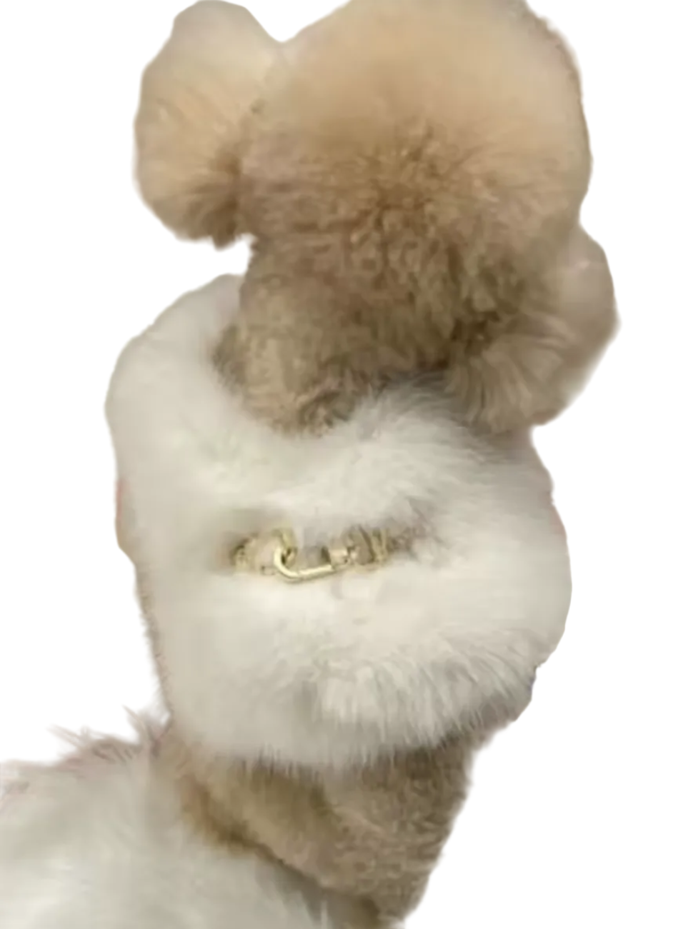 Faux Fur Dog Harness with Gold Clasp Fastenings - White