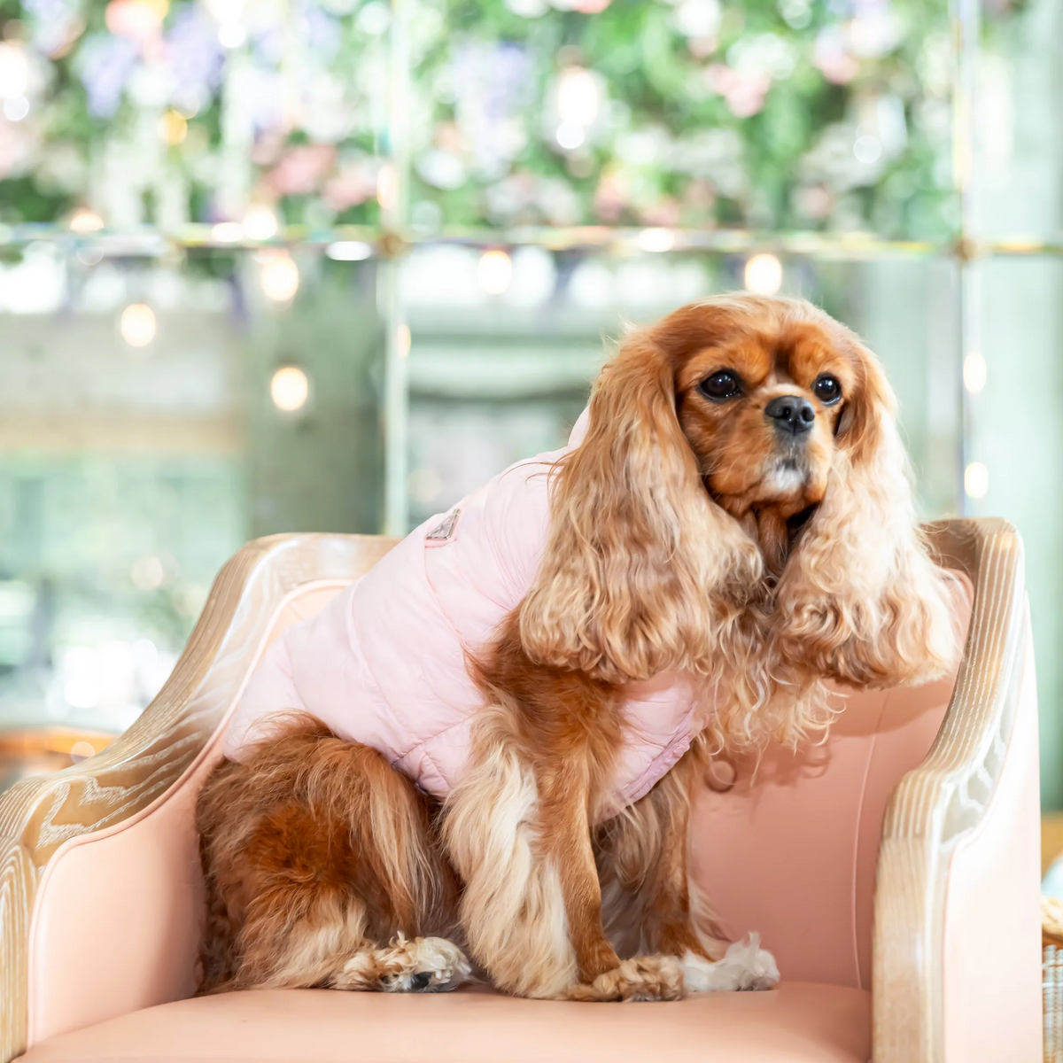 Padded Designer Dog Gilet Jacket - Baby Pink