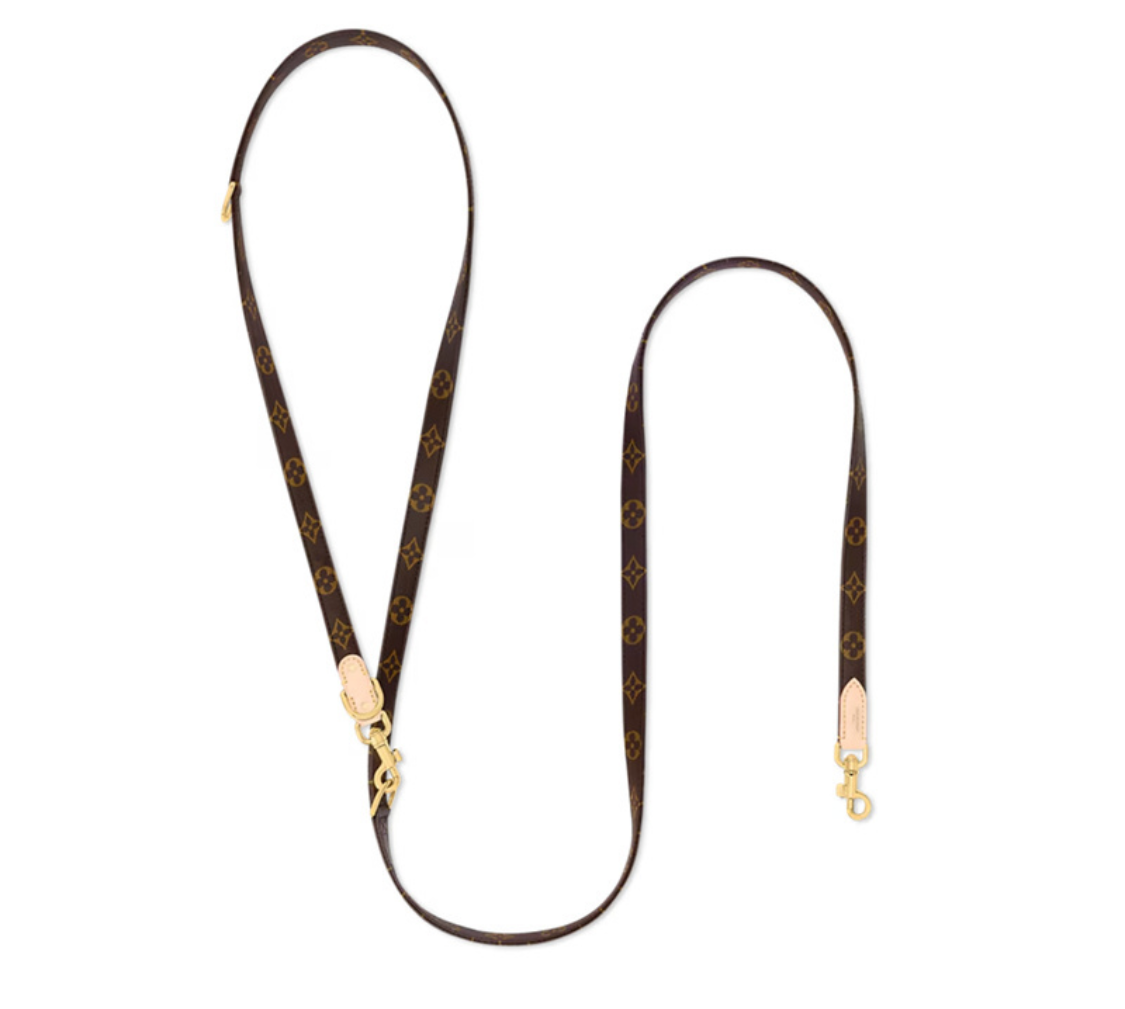 Luxury Crossbody Dog Hands Free Lead with Gold Details - Brown