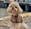 Herringbone Tweed Style British Dog Jacket with Gold Buttons - Brown