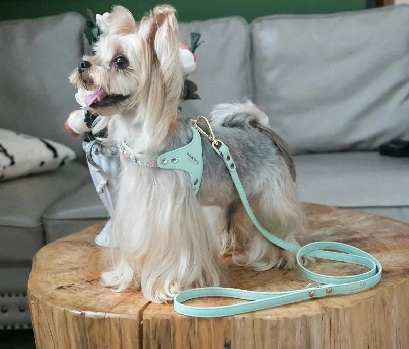 Gemstone Dog Harness Set