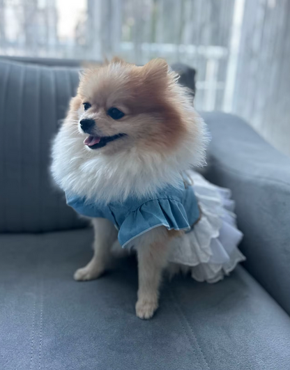 Corset Back Denim Dog Tutu Dress