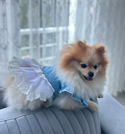 Corset Back Denim Dog Tutu Dress