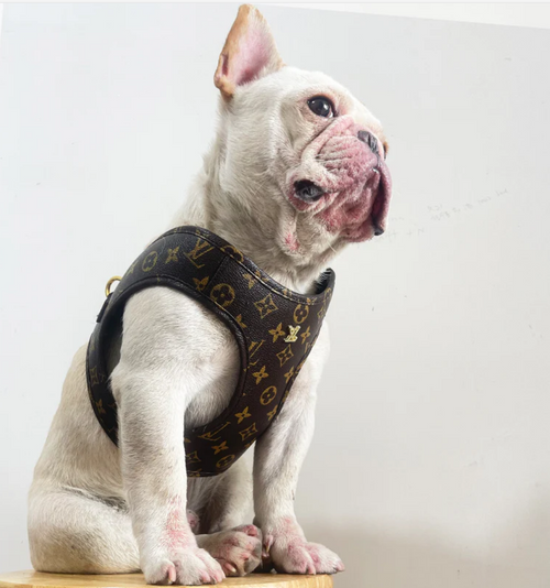 Designer Dog Harness and Lead Set - Brown Flower