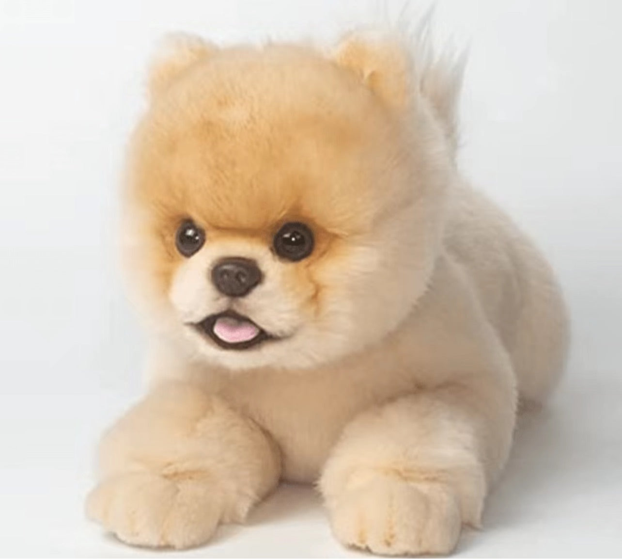 Pomeranian Stuffed Gift Toy
