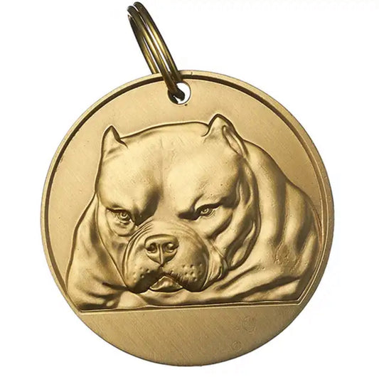 Personalized Brass Dog ID Tag 3D Bully