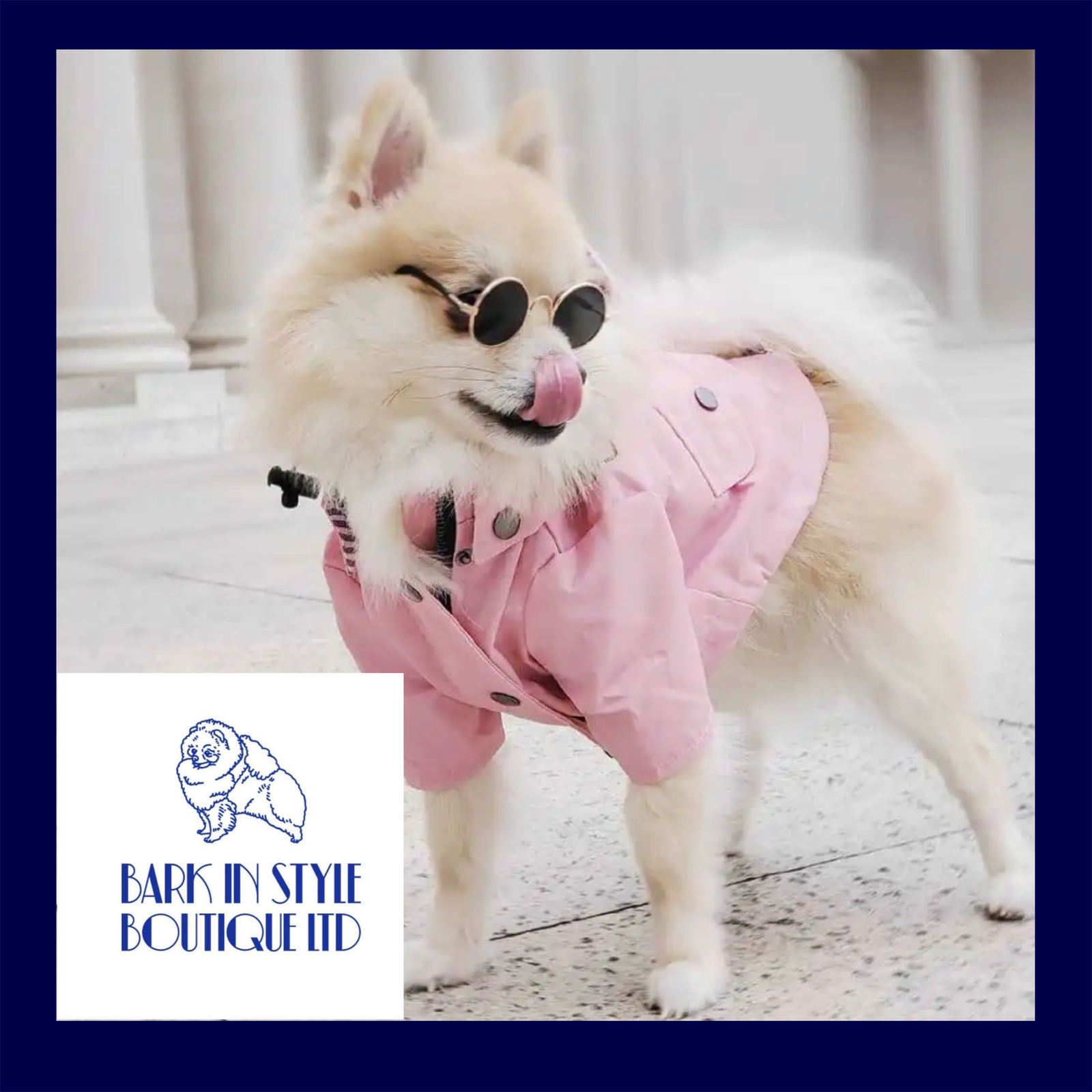 Windbreaker Dog Raincoat - Pink