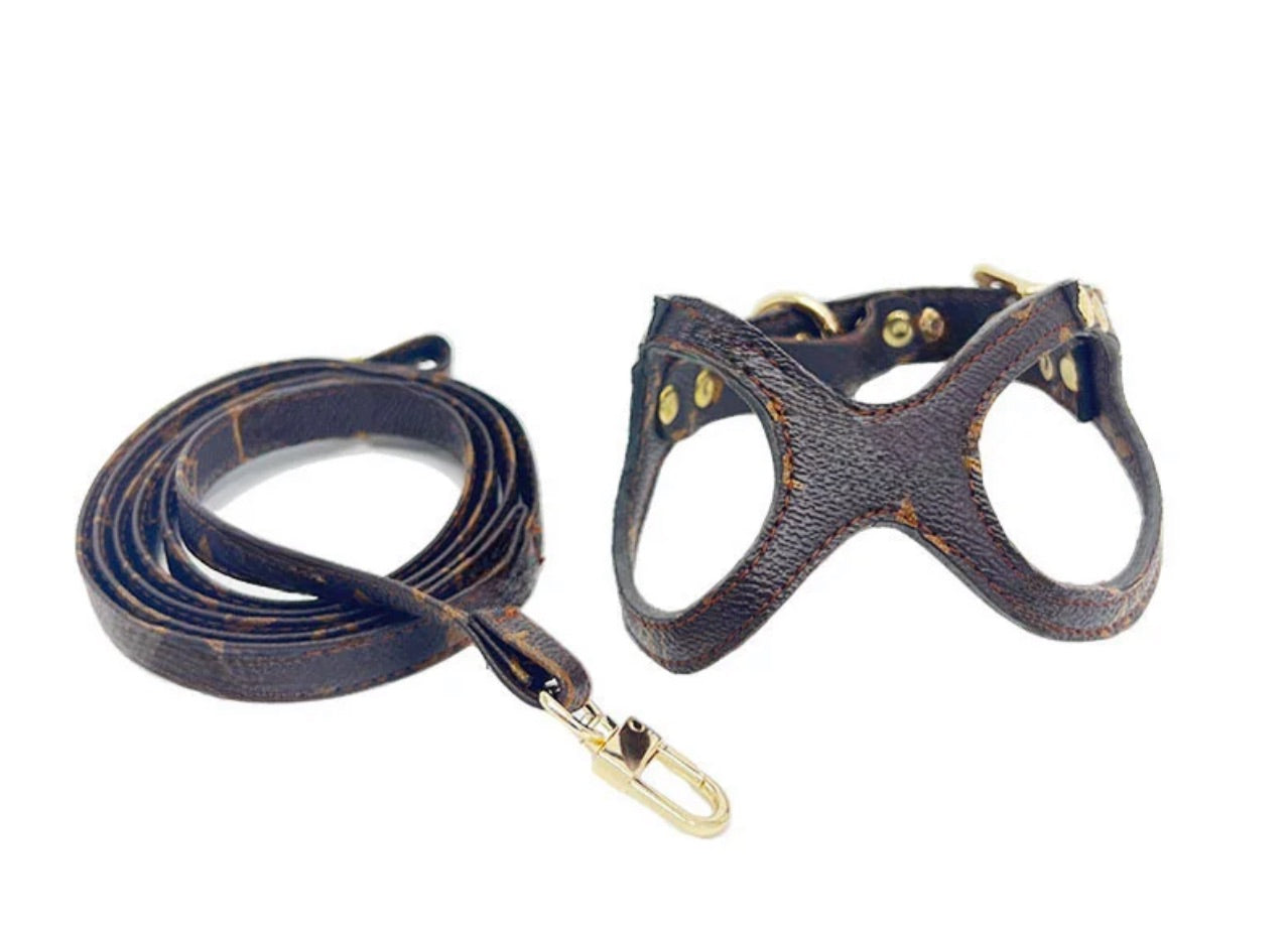 Harness and Lead Set - Brown