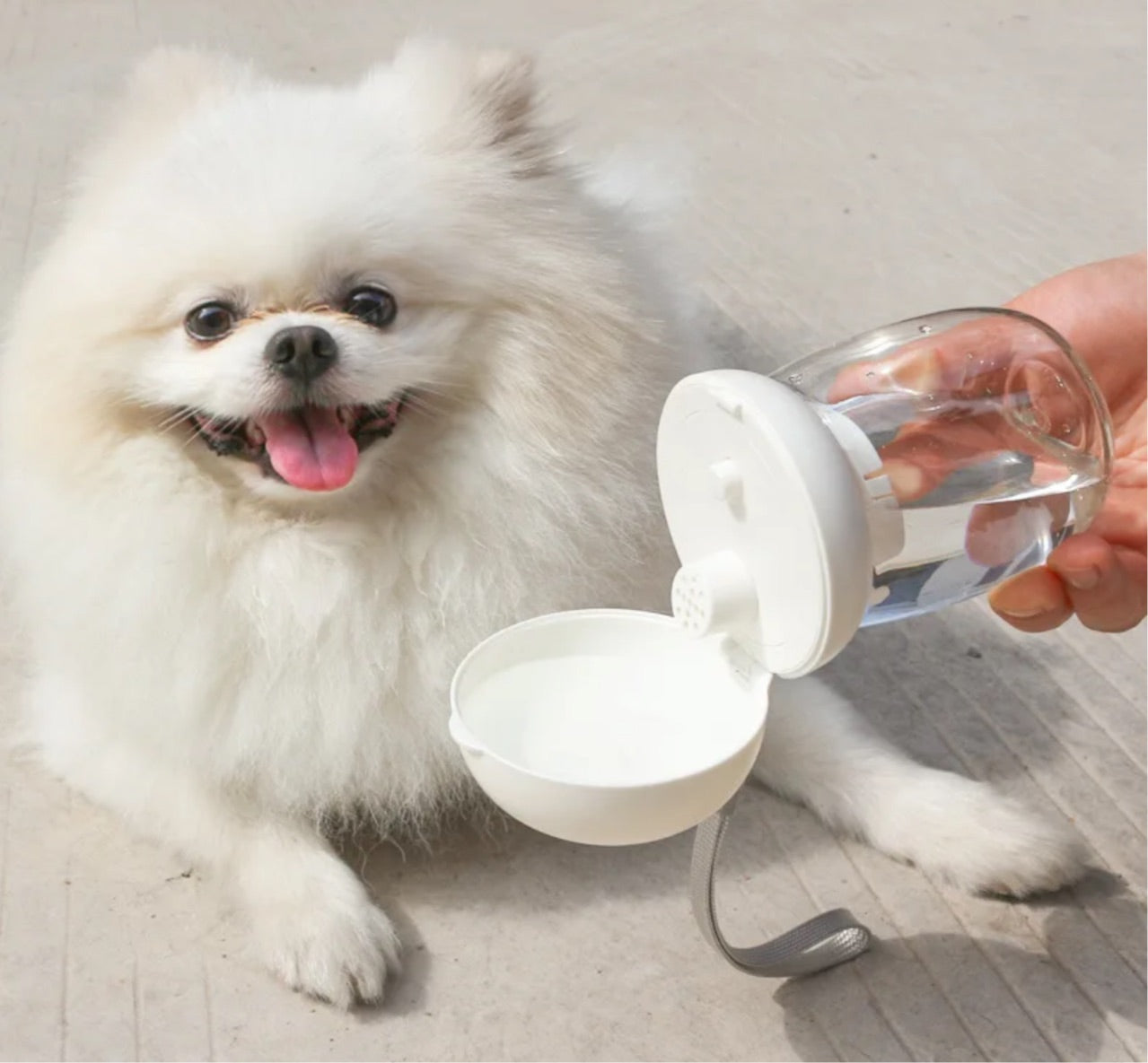 300ml Portable Pet Water Bottle