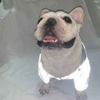 Light Reflective Flower Dog Raincoat - Silver/Grey