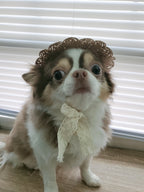 Summer Pet Straw Hat - Brown