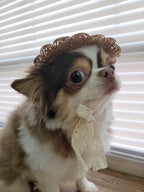 Summer Pet Straw Hat - Brown