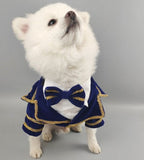 Faux Velvet Suit Jacket - Royal Blue/Gold