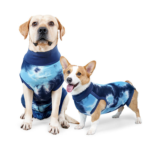 Recovery Suit for Dogs - Blue/Pink