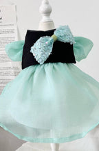 Sequin Tiffany Tulle Dress - Mint/Black