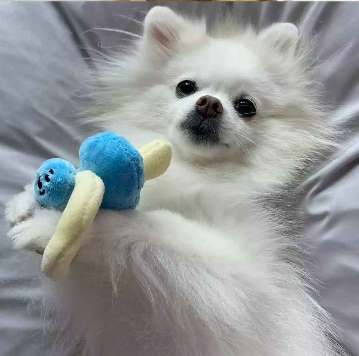 Dog Bottle, Dummy and Rattle Set