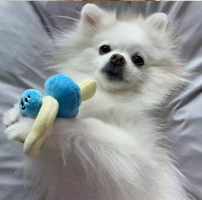 Dog Bottle, Dummy and Rattle Set