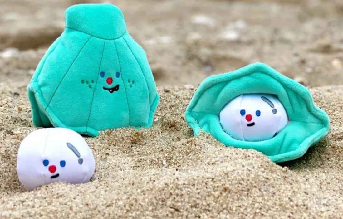 Interactive Dog Pearl Shell Beach Toy