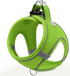 Reflective Step In Harness - Tink’s Green