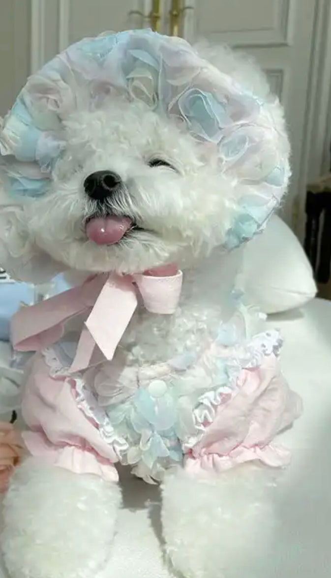 Sweetheart Roses Dress - Pastel