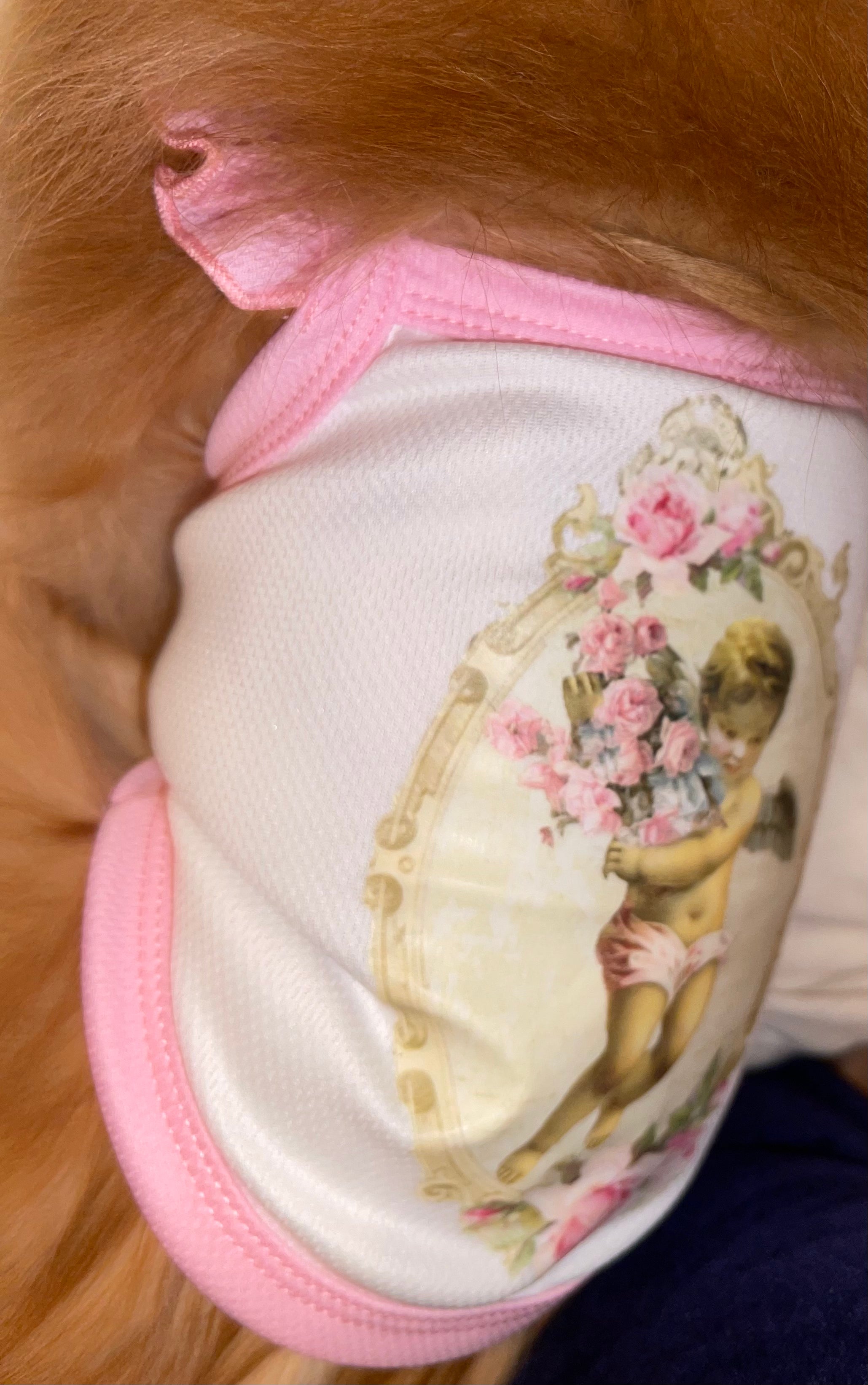 Cherub Ruffle Dog Vest - Pink